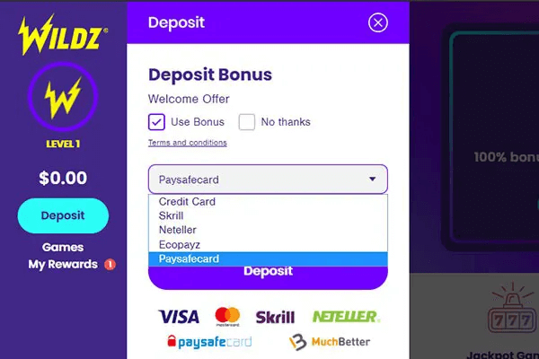 Payments & Withdrawal Wildz Casino